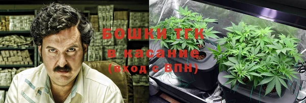 молекула духа Алексеевка